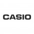Casio (9)